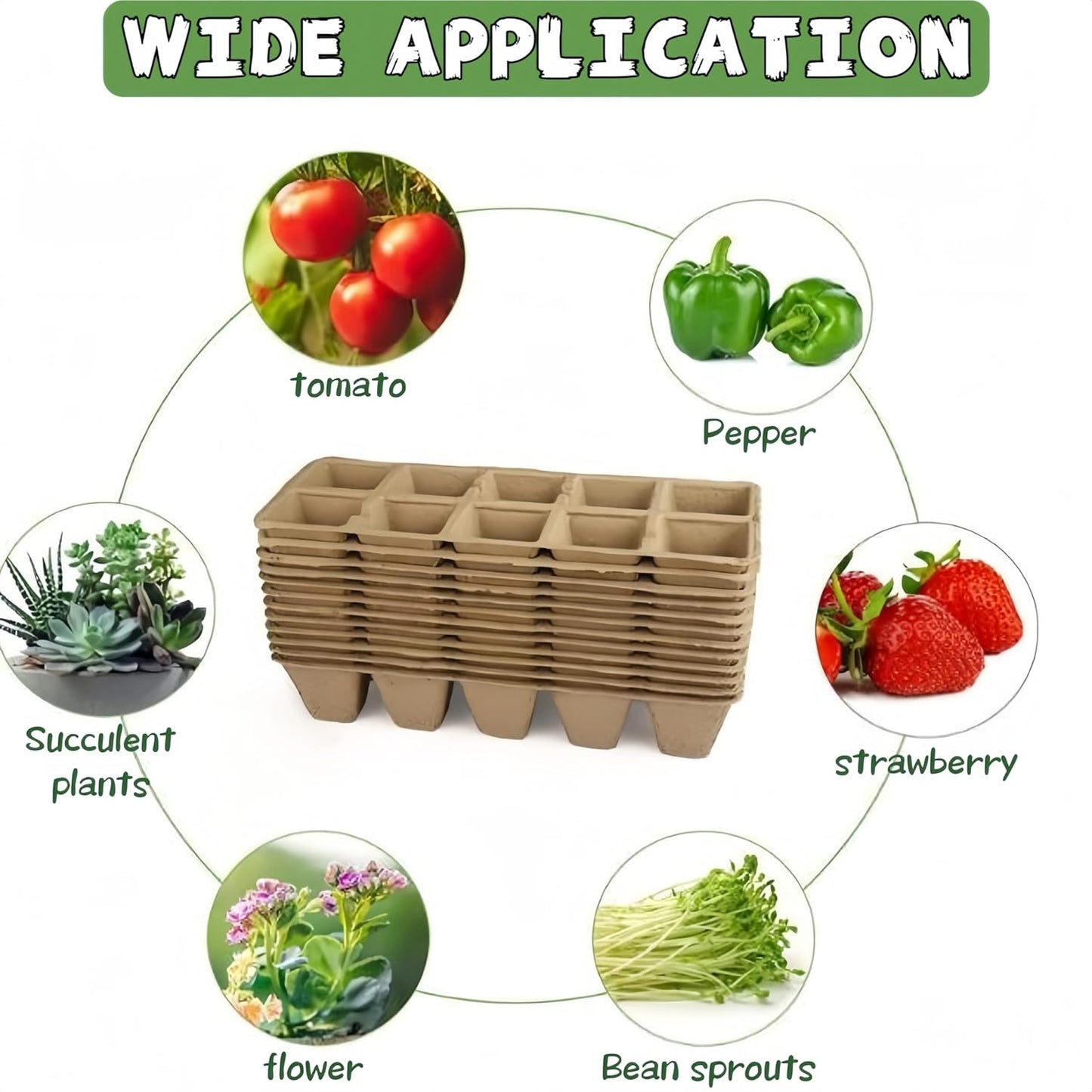 240 Cells Seed Starter Tray 24 Packs Biodegradable Peat Pots Germination Trays Organic Seed Starting Trays kit with 24 Labels 2 Transplant Tools