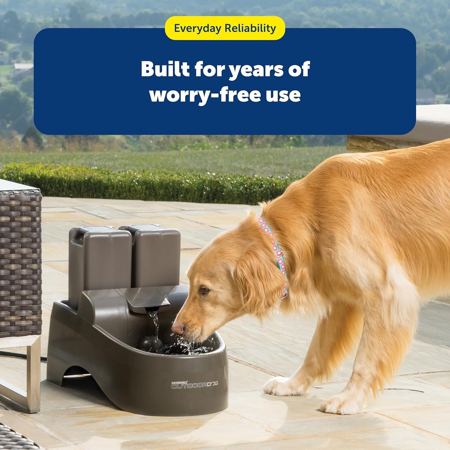 PetSafe Drinkwell Outdoor/Everflow Fountain Pump & Adaptor - Replacement Pump for Pet Fountain - Low-Voltage Durable Pump - Waterproof Adaptor with Anti-Bite Cord