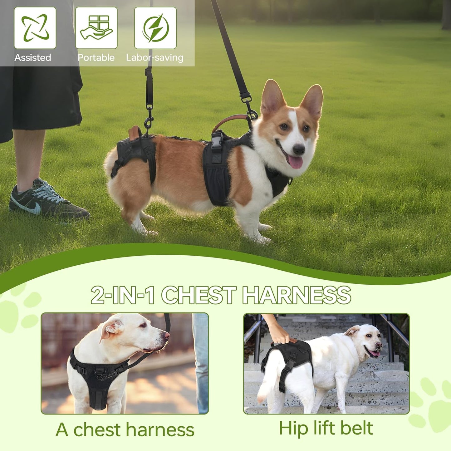 Dog Lift Harness for Male Dogs - 2-in-1 Full Body Support Aid & Sling, Comfortable & Chafe-Free for Post-Surgery Recovery and Elderly Dog Mobility, Hind Leg Assistance, Supports up to 27 Lbs (S)