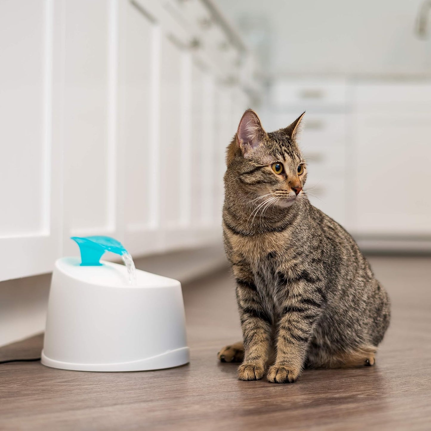 IRIS USA Cat Water Fountain 44oz with Two Flow Options & Silent Operation + Extra Large Open Top Cat Litter Box with High Sided Scatter Shield, Easy to Clean, Navy—Perfect for Big Cats!