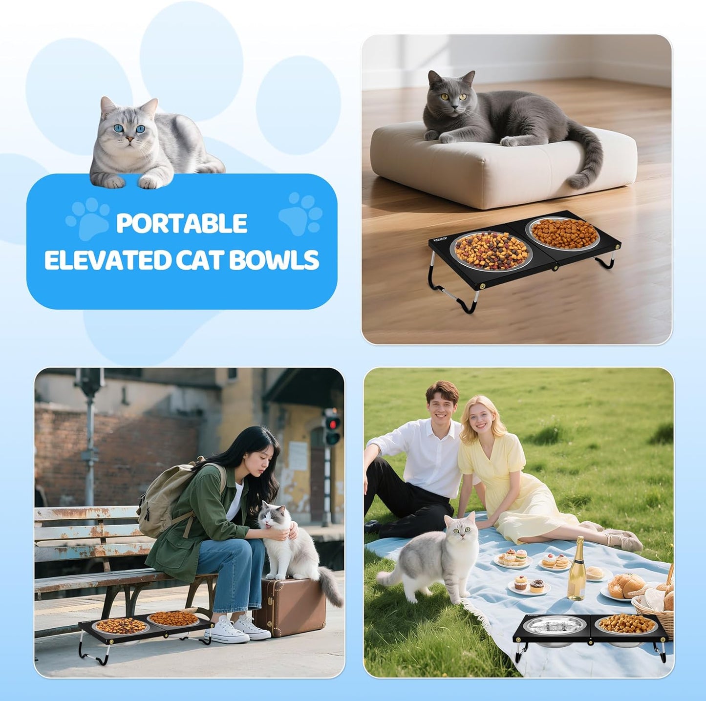 Upgraded Elevated Cat Bowls,10°Tilted Foldable Stand Anti Vomiting Raised Cat Dishes for Food and Water,2 Stainless Steel Bowls for Cats and Puppy (1 Pack)