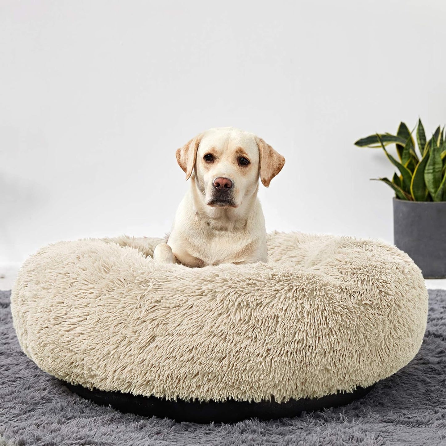 Washable Dog Round Bed - Large Donut Dog Bed, Comfy Calming Cuddler