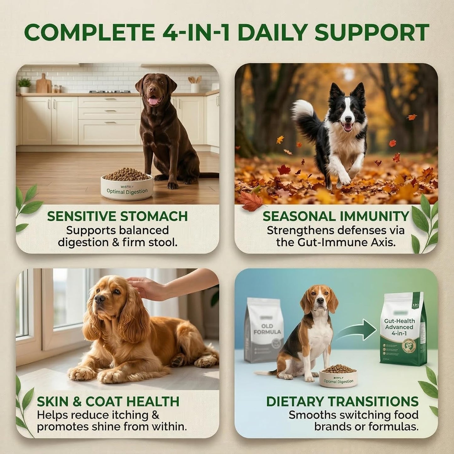Probiotics for Dogs 20 Billion CFU - 6 Strains with Bacillus Subtilis - Soft Chews for Dog Diarrhea, Gas, Bad Breath & Itchy Skin - Digestive & Immune Support - 90 Count