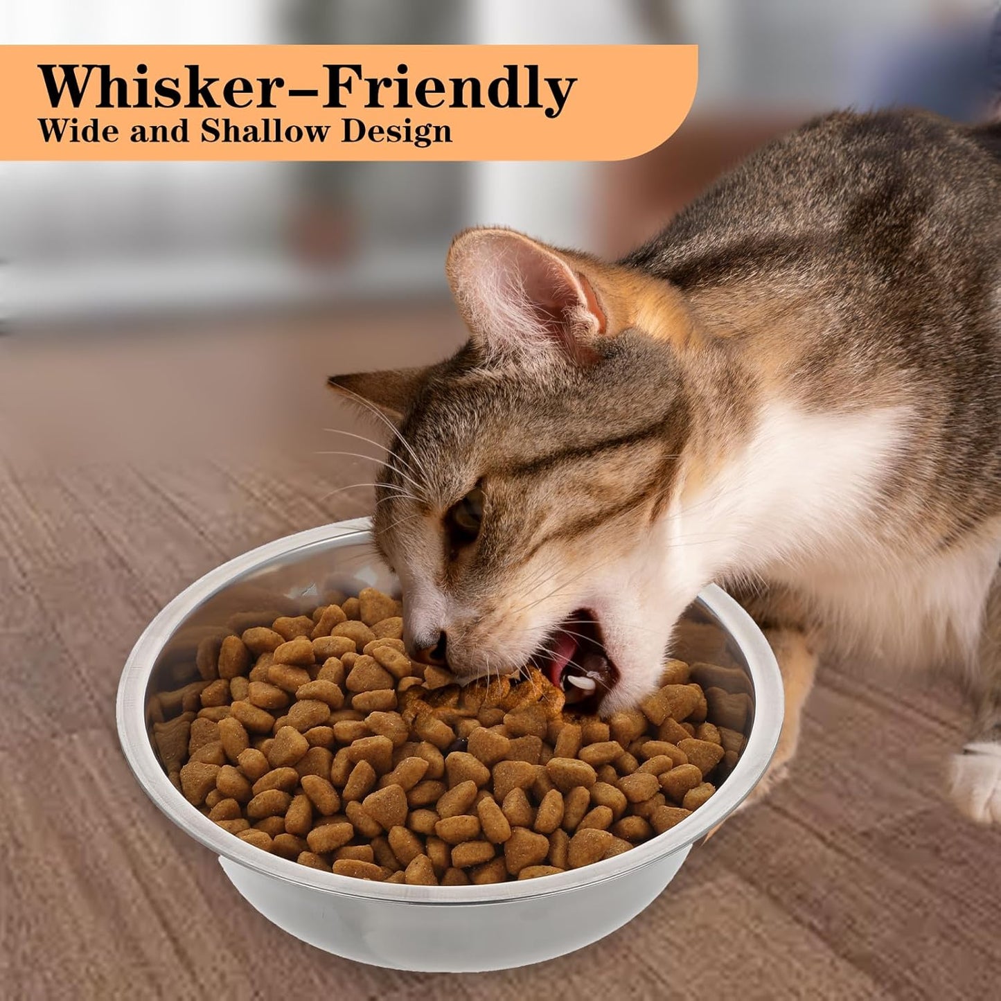12 PCS Stainless Steel Cat Bowls, 5.5 Inch Metal Cat Bowls, Replacement Elevated Food Water Bowls for Indoor Kitten, Whisker Fatigue Relief Shallow Food Metal Dish for Stray Cats