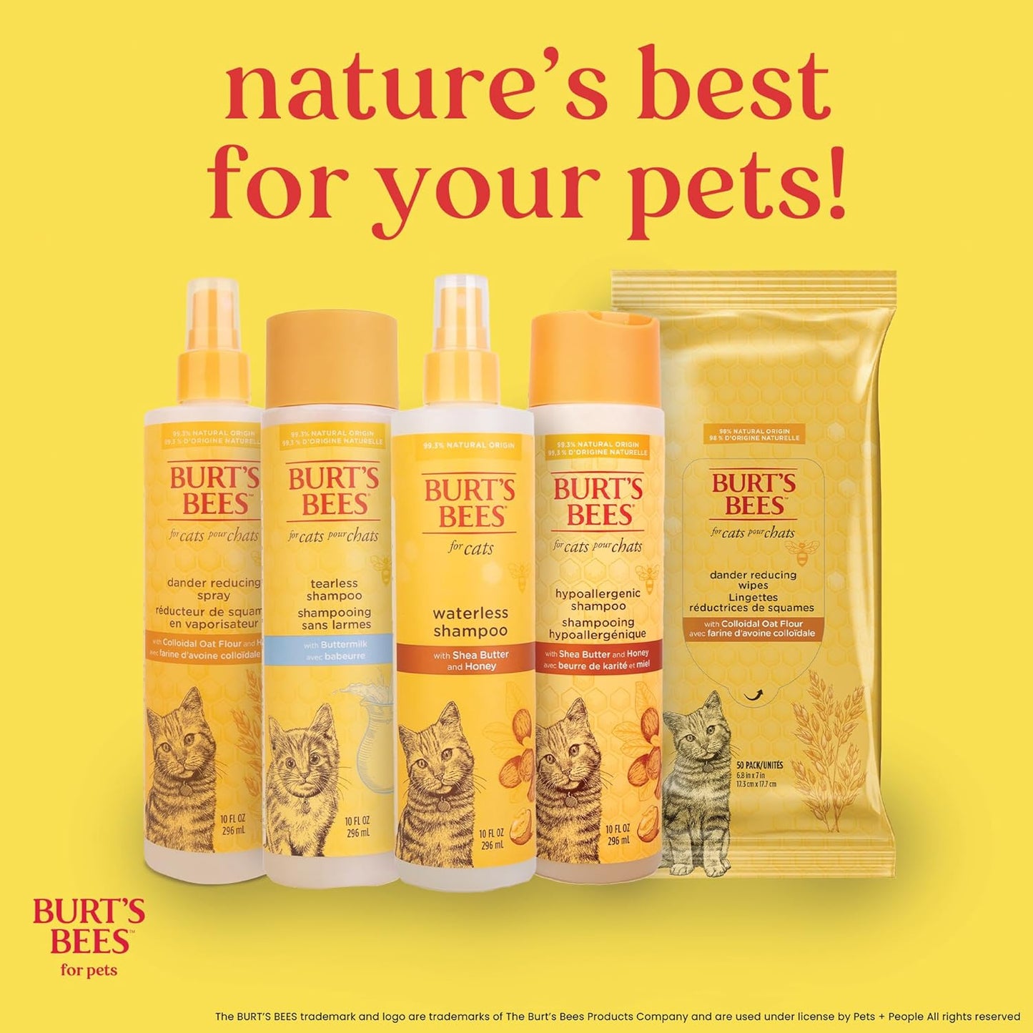 Burt's Bees for Pets Kitten Grooming Wipes with Buttermilk and Honey, Waterless Cat Bath Wipes for Face, Paws, Tail and Coat Cleaning, Gentle Bath Alternative for Indoor Felines, 50 Count