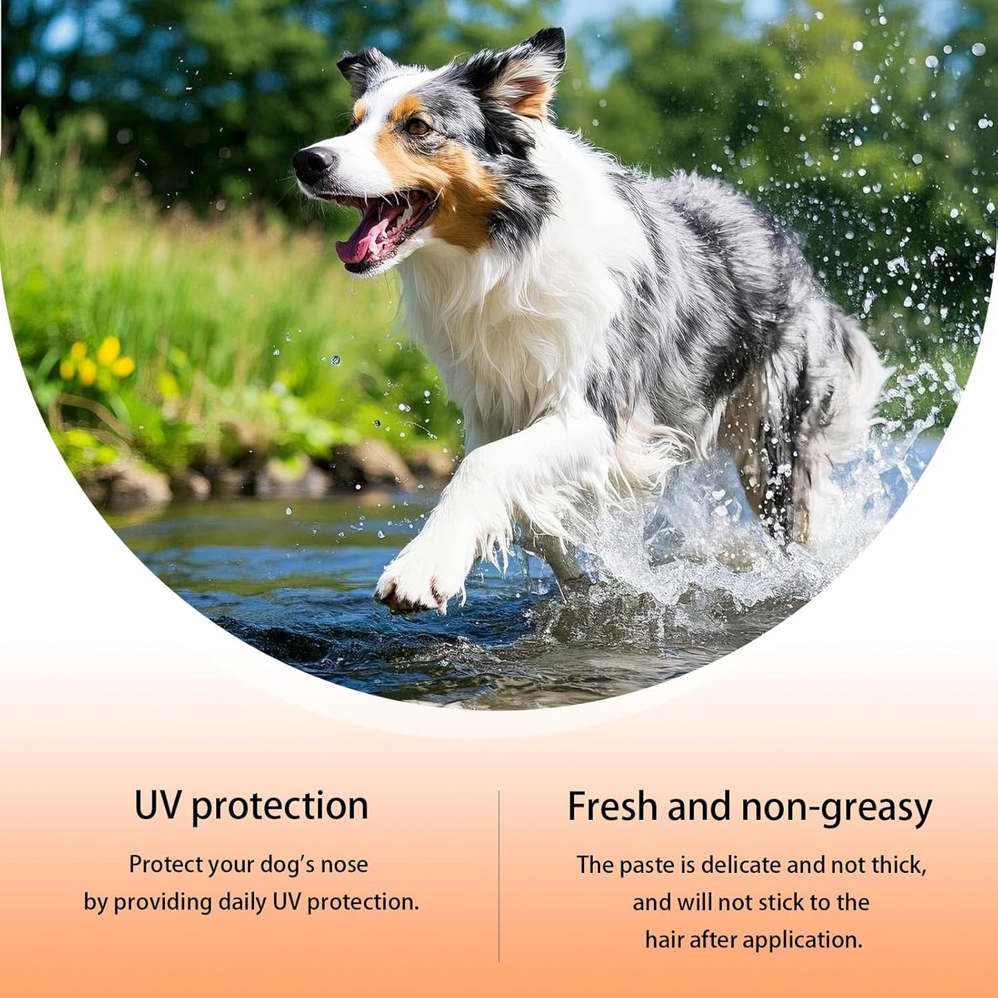 Dog Sunscreen SPF 25 [6 g *2], Safe Sea Sunscreen with Coconut Oil & Shea Butter, No Irritating Fragrance Snout Soother Dog Nose Balm & Beach Defense Sunscreen