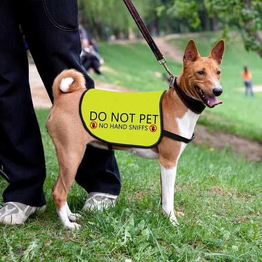 Funny Dog Slogan Jacket Vest - Do Not Pet, No Hand Sniffs - Walking Warning Vest (Small)