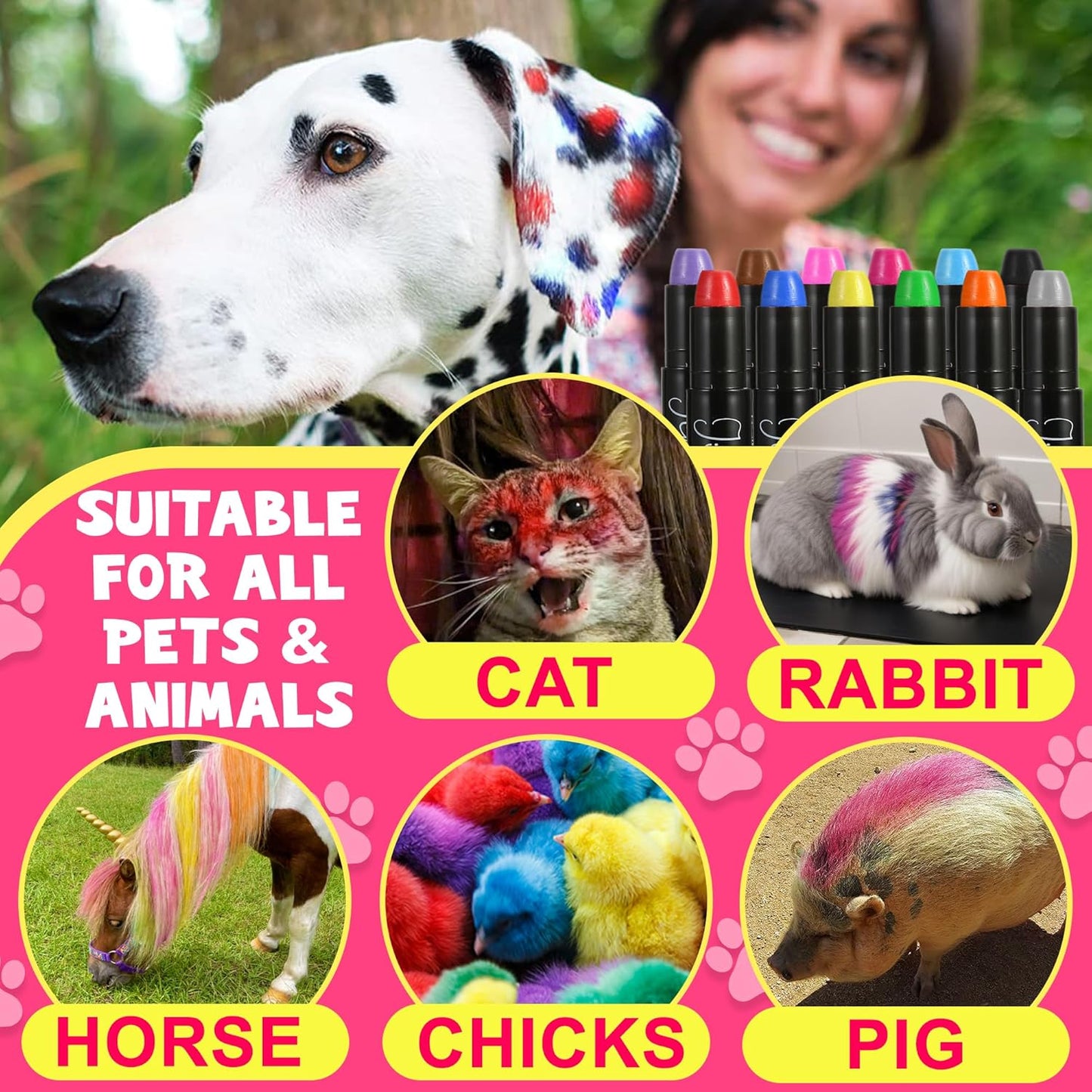 Jim&Gloria Washable Dog Hair Dye Markers, Pet Safe Grooming Kit, Temporary Fur Paint Animal Pens for Small to Large Boy and Girl Puppy Stuff Accessories, Birthday Gifts to Cat Lovers Set of 12 Color