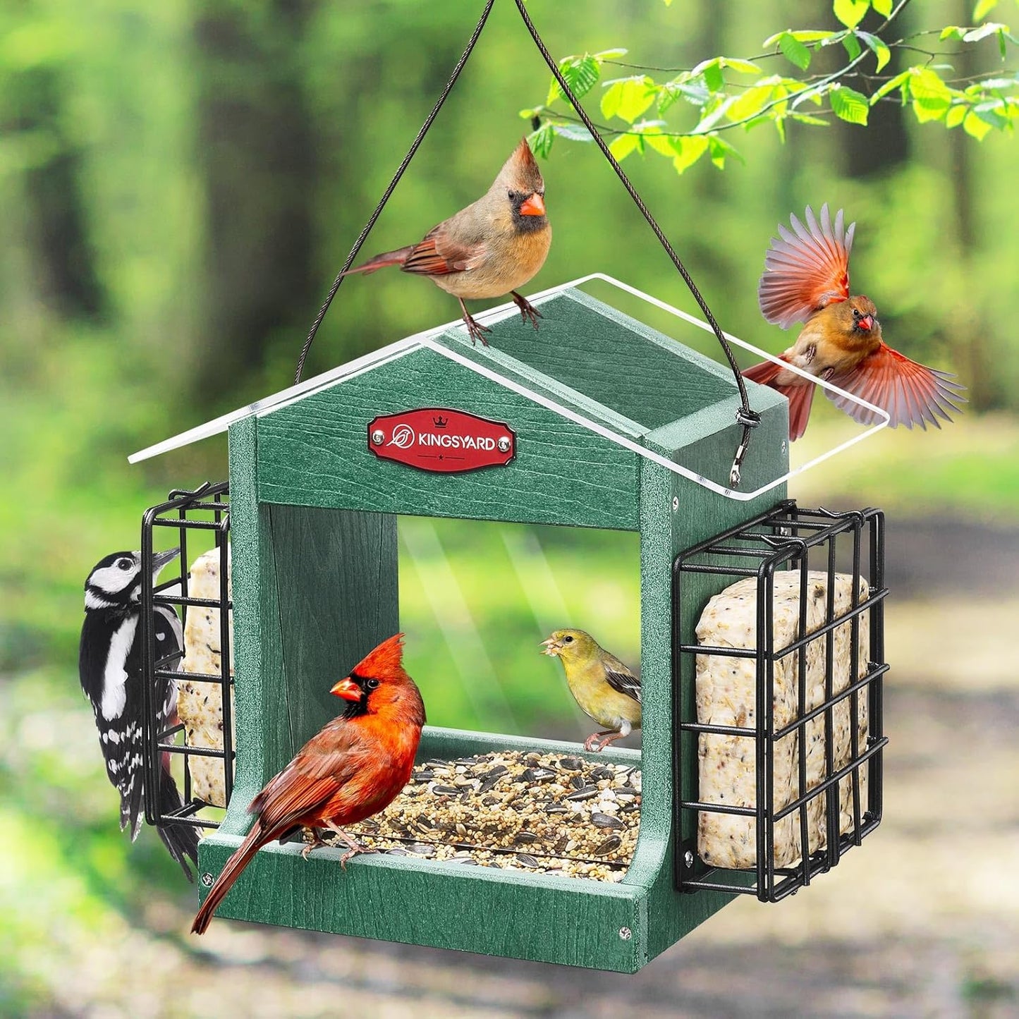 Kingsyard Bird Feeder for Outdoor Hanging - Recycled Plastic Double Suet Cages Wild Bird Feeder with Metal Mesh Tray and Rainproof Roof, 2.5 LBS Large Capacity. Green