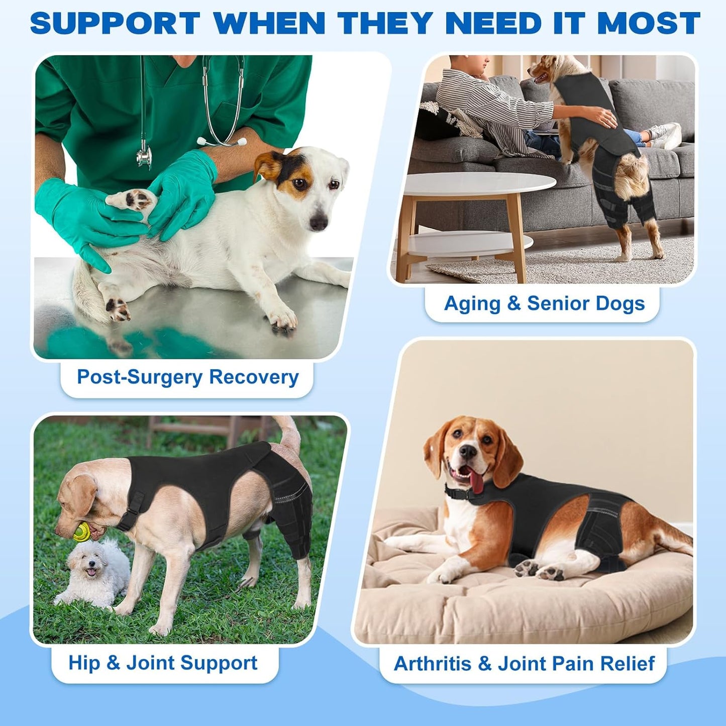 Dog Knee Brace for Torn ACL Hind Leg, Dog Leg Braces for Back Leg Support with 4 Metal Stabilizers Helps with Torn CCL, Luxating Patella, Ligament Injuries, Hip Dysplasia,S