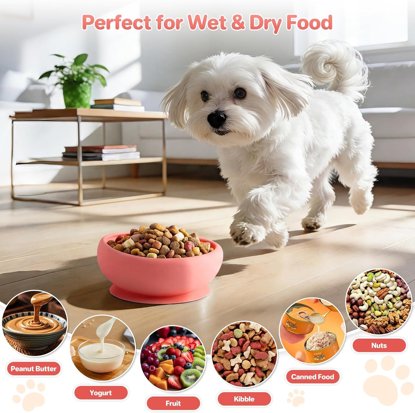 Dog Lick Bowl Slow Feeder with Slanted Anti-Spill Design, Extra-Thick Bite-Resistant Rim, Strong Suction Base, Freezer Safe for Frozen Treats — A Cleaner Alternative to Lick Mats for Dogs (Coral)