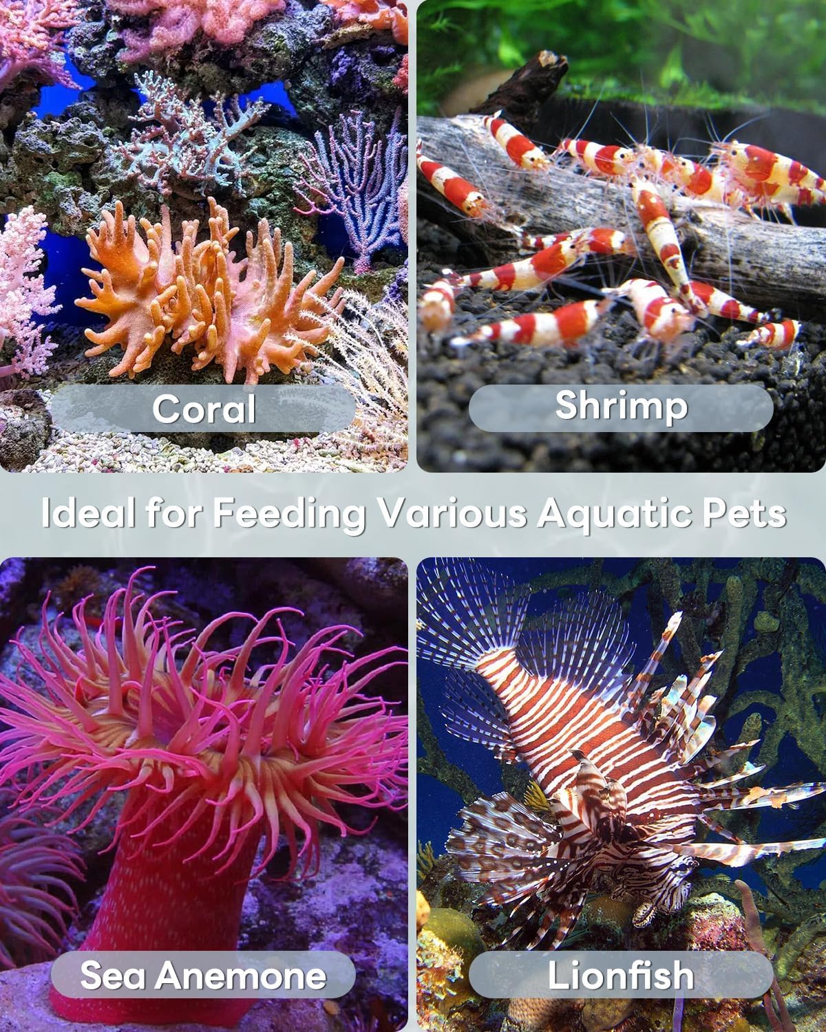 Pawfly Aquarium Coral Feeder 13.7 Inch Long Tube Coral Food Feeder Manual Feeding Tube Fish Excreta Cleaner Long Acrylic Syringe for Reef Marine Fish Shrimp Aquatic Plants