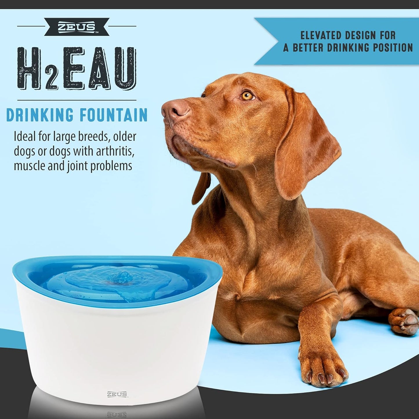 Zeus Fresh & Clear Elevated Dog and Cat Water Dispenser, Large Drinking Water Fountain with Purifying Filter, 6L Capacity, 1 Count (Pack of 1)
