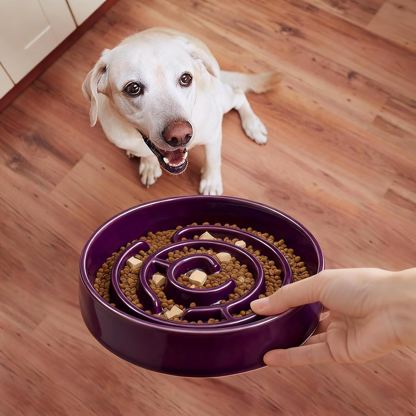 Purple Ceramic Slow Feeder Dog Bowl,1.5 Cups Pet Slow Feeder for Small and Medium Breed,Puzzle Dog Food Dish,Anti-Gulping,Stop Bloat,Preventing Choking