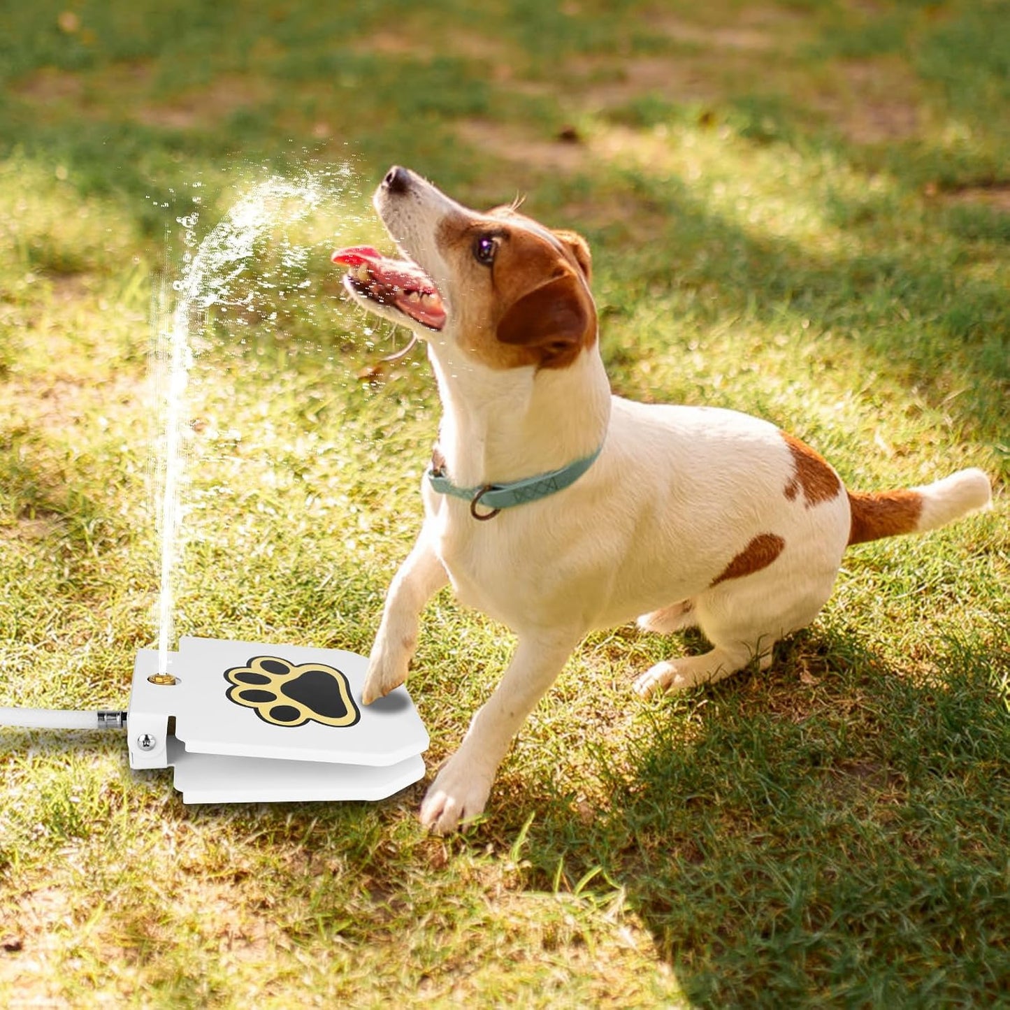 Dog Water Fountain Outdoor, Dog Sprinkler Drinking Water Dispenser Step-on, Paw Activated Drinking Pet Dispenser for Dog Bowl Alternative