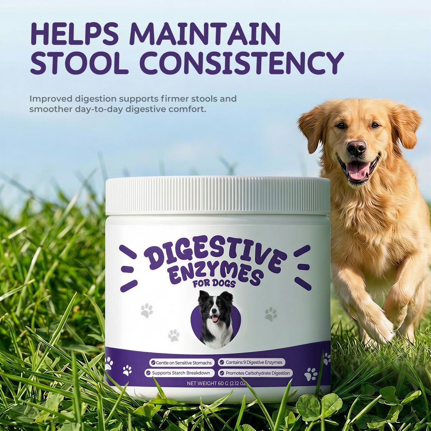 Digestive Enzymes for Dogs, Pancreatic Enzyme Blend to Support Kibble Digestion, Nutrient Absorption & Stool Consistency – Daily Powder for Sensitive Stomachs, 60 g