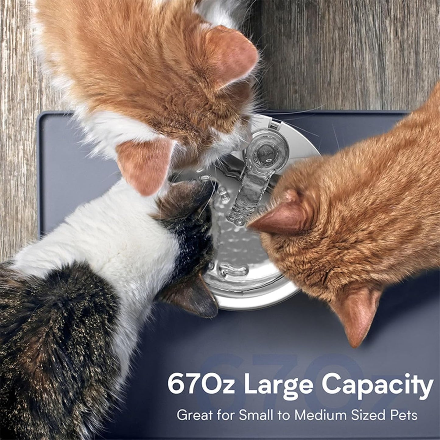Luqeeg 2L Automatic Cat Water Fountain 304 Stainless Steel Water Fountain Pets Low Noise Pump Feeder with a Comprehensive Filtration Structure & Continuous for Cat or Dog (US Plug)