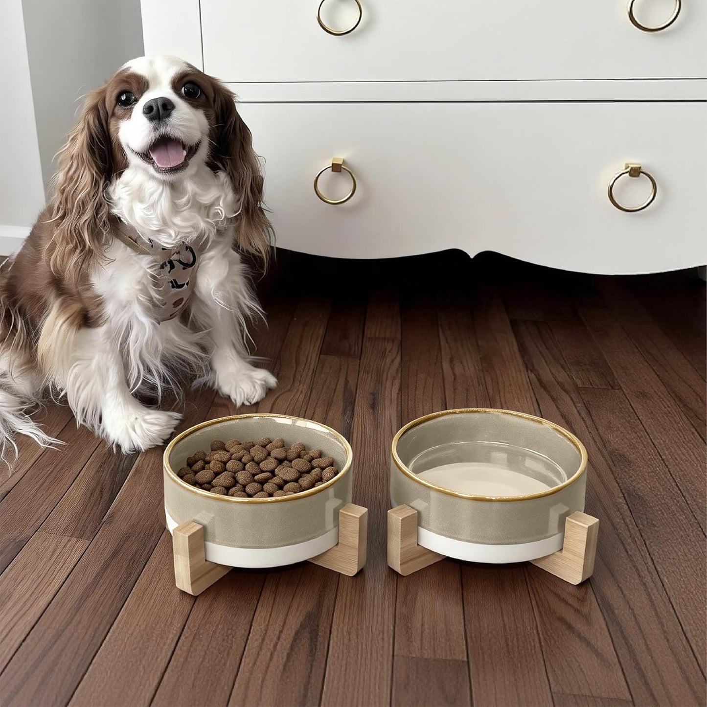 Elevated Ceramic Cat and Dog Double Bowl Set - 14 oz Lead-Free Feeder with Two Natural Bamboo Wood Stands (Brown)