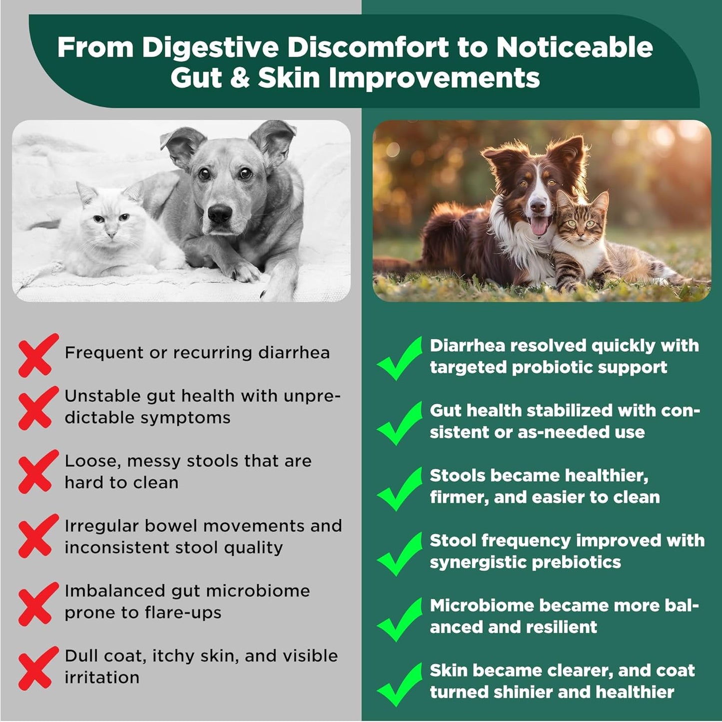 S.boulardii + FOS Pet Probiotic Powder for Dogs and Cats, 6.7 Billion CFU, Gut & Immune Support, Loose Stool & Digestive Upset Relief, Improves Stool Consistency, Skin Health, Veterinarian Recommended