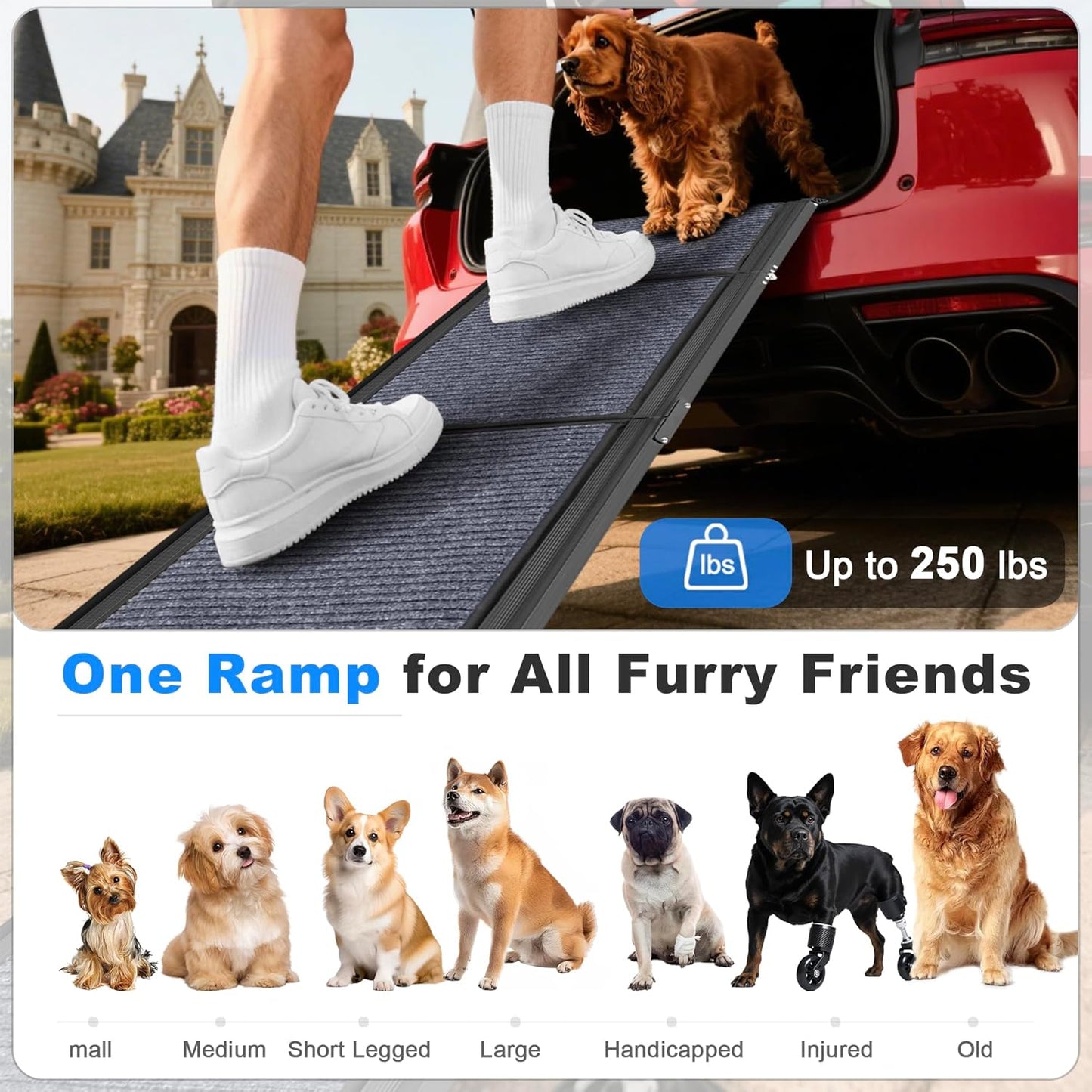 COSIEST Dog Ramp for Car, 70.9" L x 19.7" W Extra Wide Folding Dog Ramp for Large Dogs Up to 250LBS, Portable Pet Steps with Non-Slip Surface for SUV, Bed