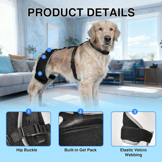 Dog Hip Dysplasia Brace with Removable Hot/Cold Pack — Breathable, Comfortable Hip & Rear-Leg Support for Mild ACL, Knee Instability & Mobility Comfort, Size L