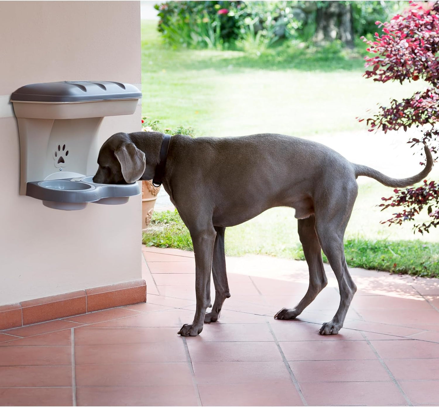 Bama Pet AP-19046 Elevated Food Stand - Large, Green