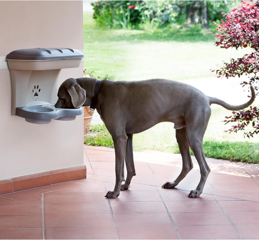 Bama Pet AP-19046 Elevated Food Stand - Large, Green