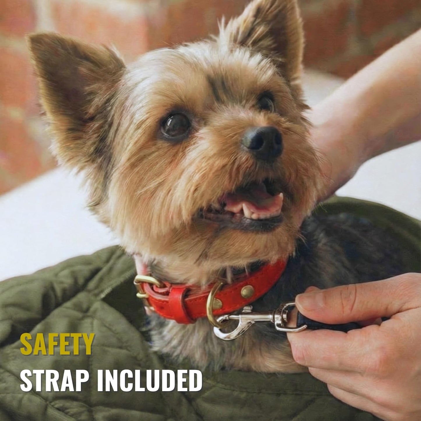 Small Dog Carrier Sling – Olive Green Hands‑Free 2‑in‑1 Sling & Handheld Carrier for Toy Dogs 3-8 lb, Parachute‑Grade Rip‑Stop Nylon, 4″ Padded Strap, Safety Tether & Two Pockets
