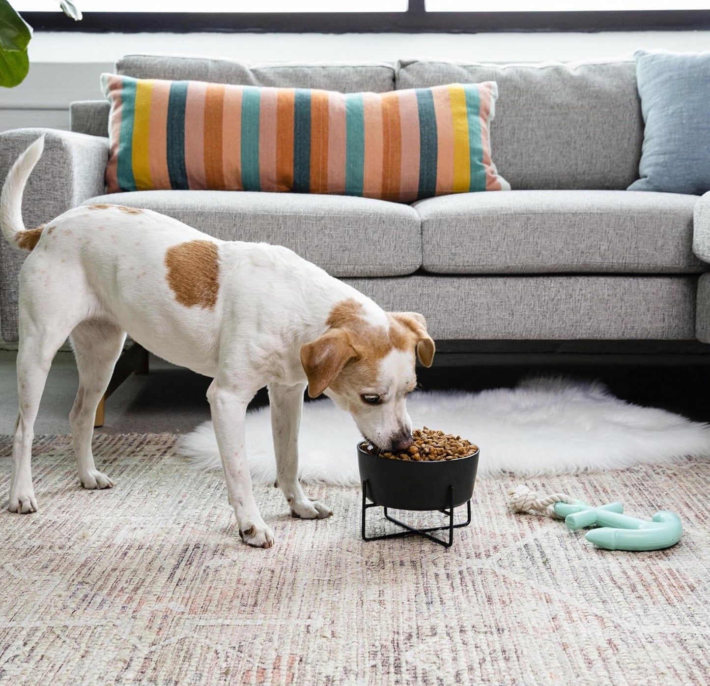 Waggo Simple Solid Dog Bowl with Iron Stand – Elevated Ceramic Feeder or Water Bowl for Small or Large Dogs (Large, Matte White)