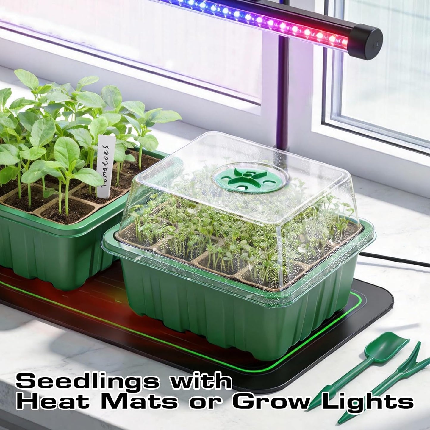 Seed Starter Tray Kit 10 Pack, Seed Starting Trays with Humidity Dome (120 Cells Total), Plant Germination Trays Complete Mini Greenhouse for Seed Growing & Seedlings