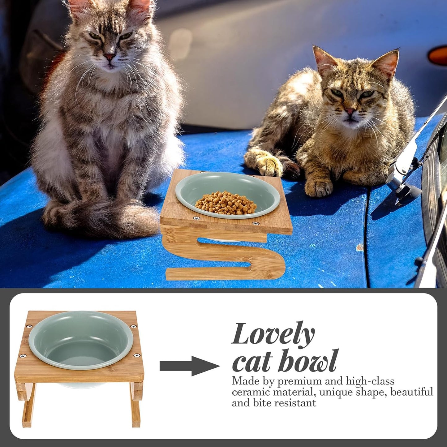 Milisten Ceramic Elevated Cat Bowl with Stand 15cm 600ml Whisker-Friendly Feeding Dish for Household Cats Indoor Pet Food Bowl