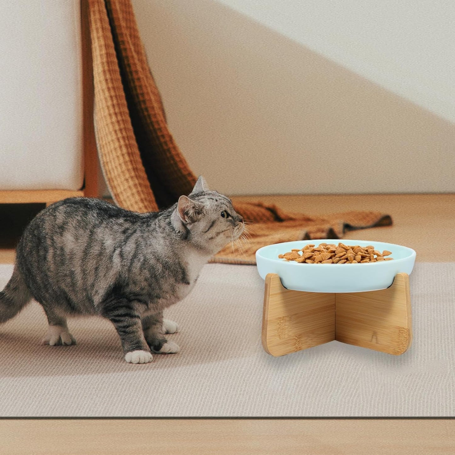 Raised Cat Bowl Elevated Cat Bowls with Wood Stand Ceramic Raised Cat Slow Feeder Bowl 6.4×1.14 Inch Cat Feeding Bowl Anti Vomiting Cat Food Bowl Non-Slip Slow Eating Cat Bowl Cat Dish Feeder