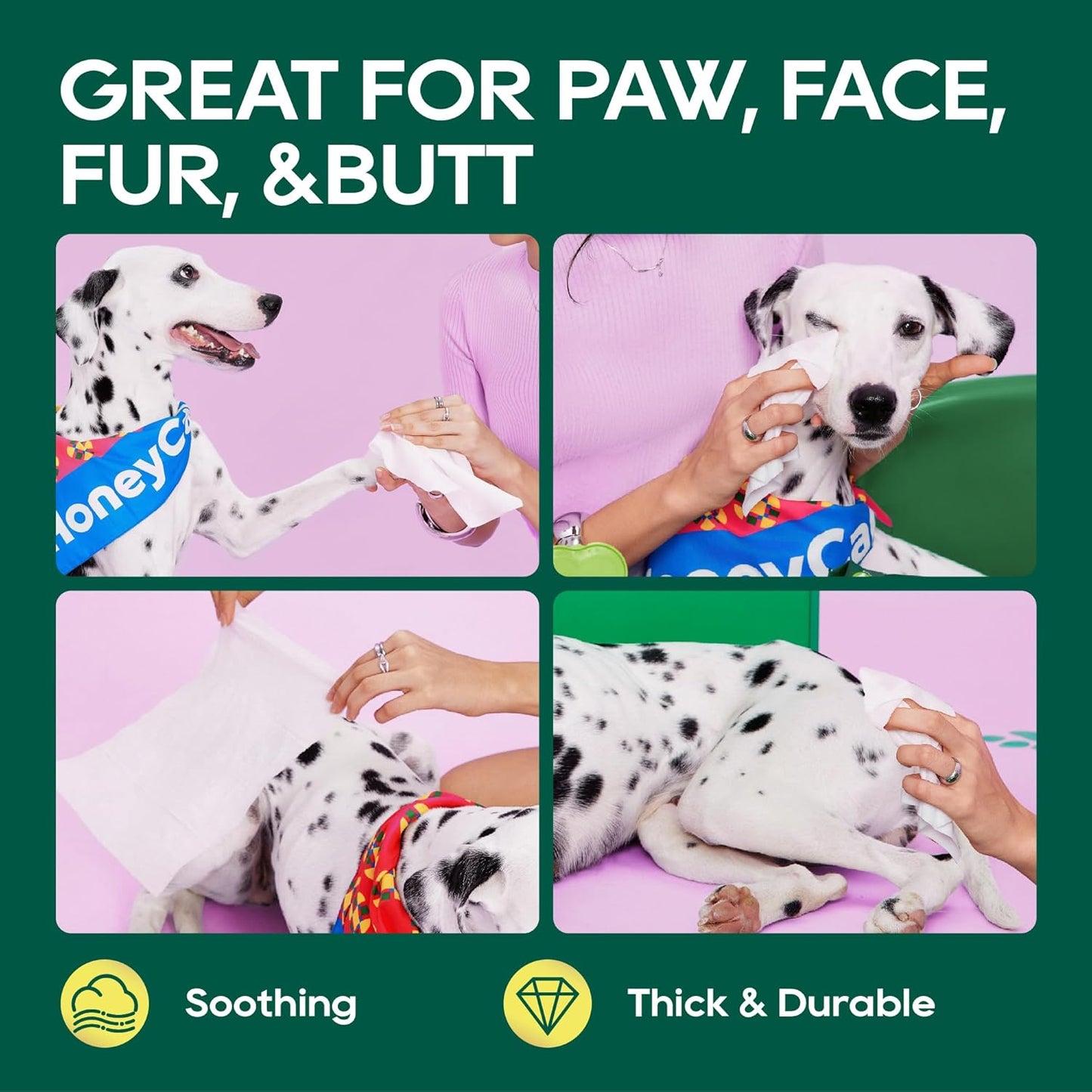 HONEY CARE Disposable Pet Wipes for Dogs & Cats – Cleansing & Soothing, Fragrance-Free, 100 Wipes for Paws, Butt & Body Cleaning