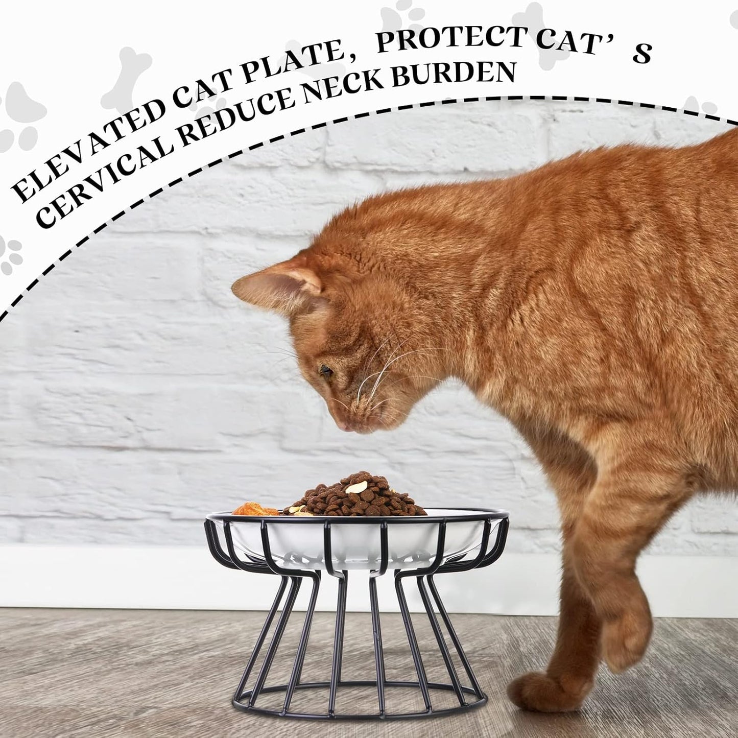 Rtteri 2 Pcs Elevated Cat Plate Set Anti Vomit Cat Bowls with Metal Stand, Shallow Ceramic Raised Feeding Station(Black)