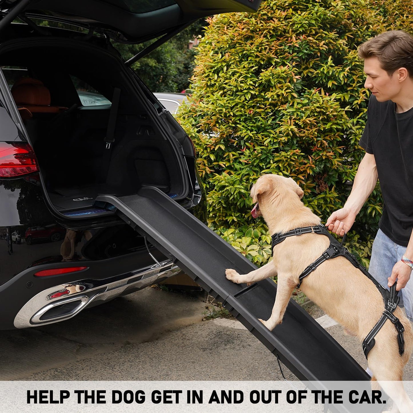 COODEO Mobility Dog Lift Harness, Support Sling & Walking Sling for Dogs, Pet Rear Leg Rehabilitation Support Vest, Dog Carrier for Senior Dogs with Joint Injuries, Arthritis, Up Stair (Black, M)