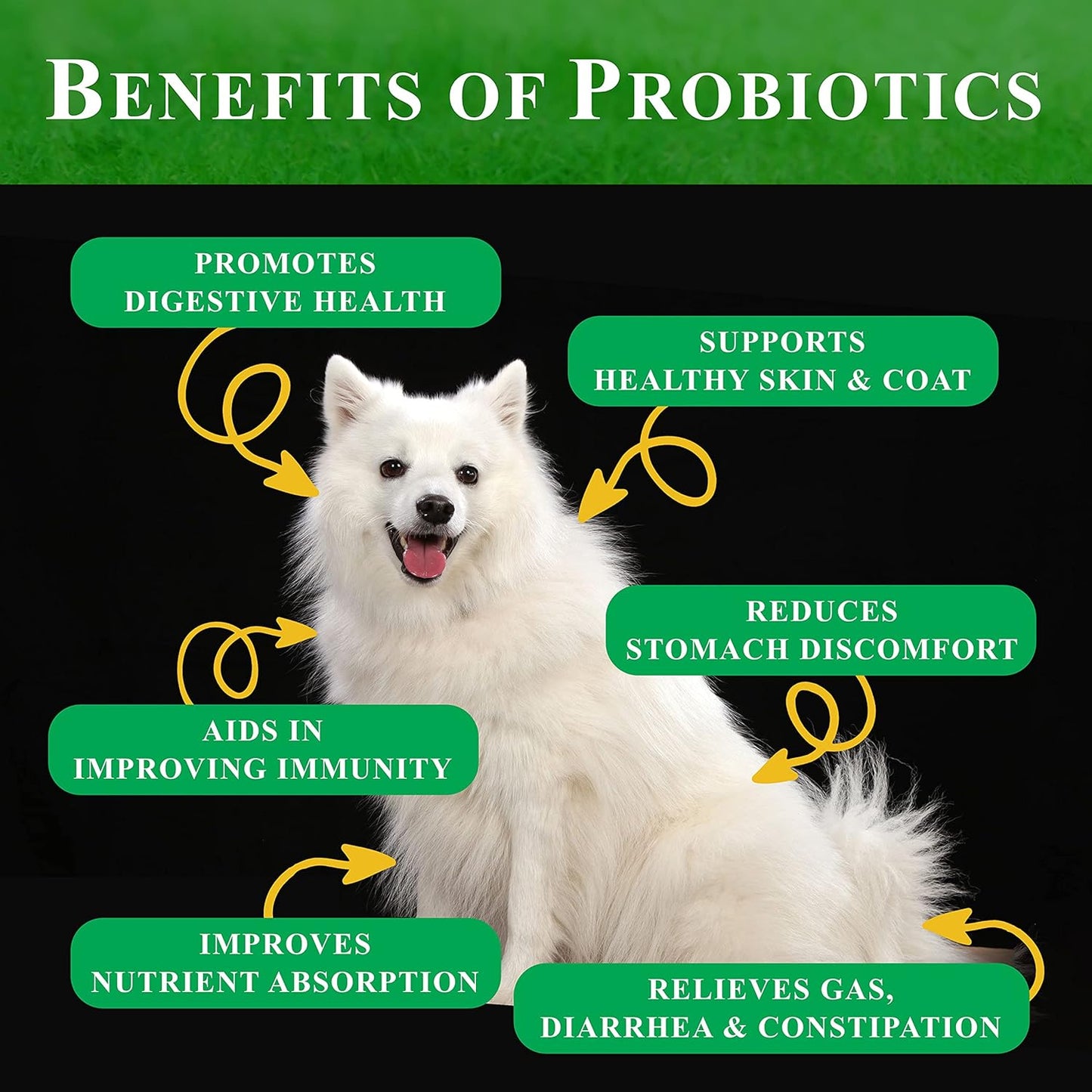 Probiotic Soft Chews for Dogs – 90 Count – Digestive & Immune Support with 9 Probiotics, 8 Enzymes, 2 Prebiotics & 5 Vital Nutrients – Chicken Flavor