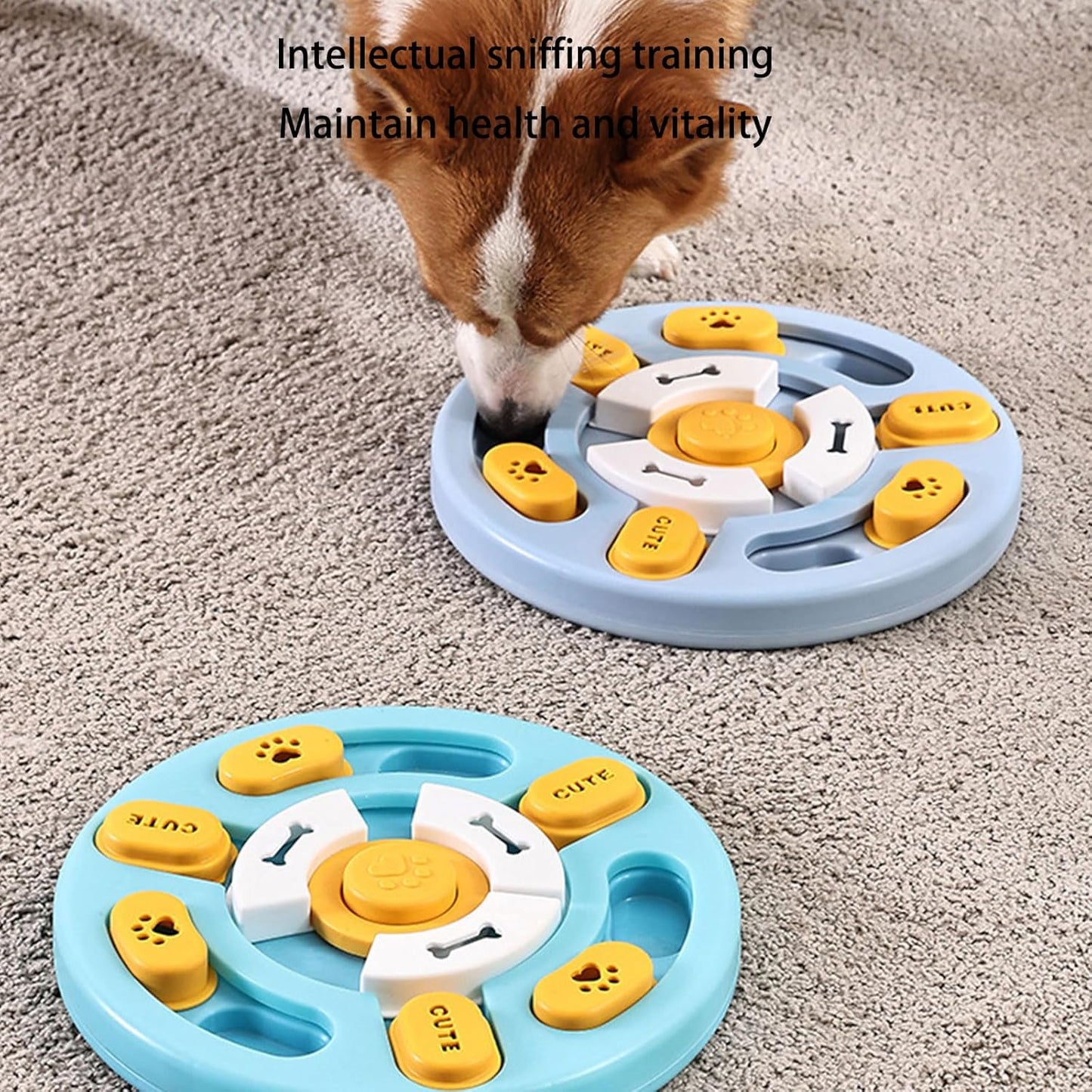 Cats Water Bowl Outdoor Drinking Bowls Dog Light Weight for Puppies Enrichment Feeders Educational Pet Training Bowl