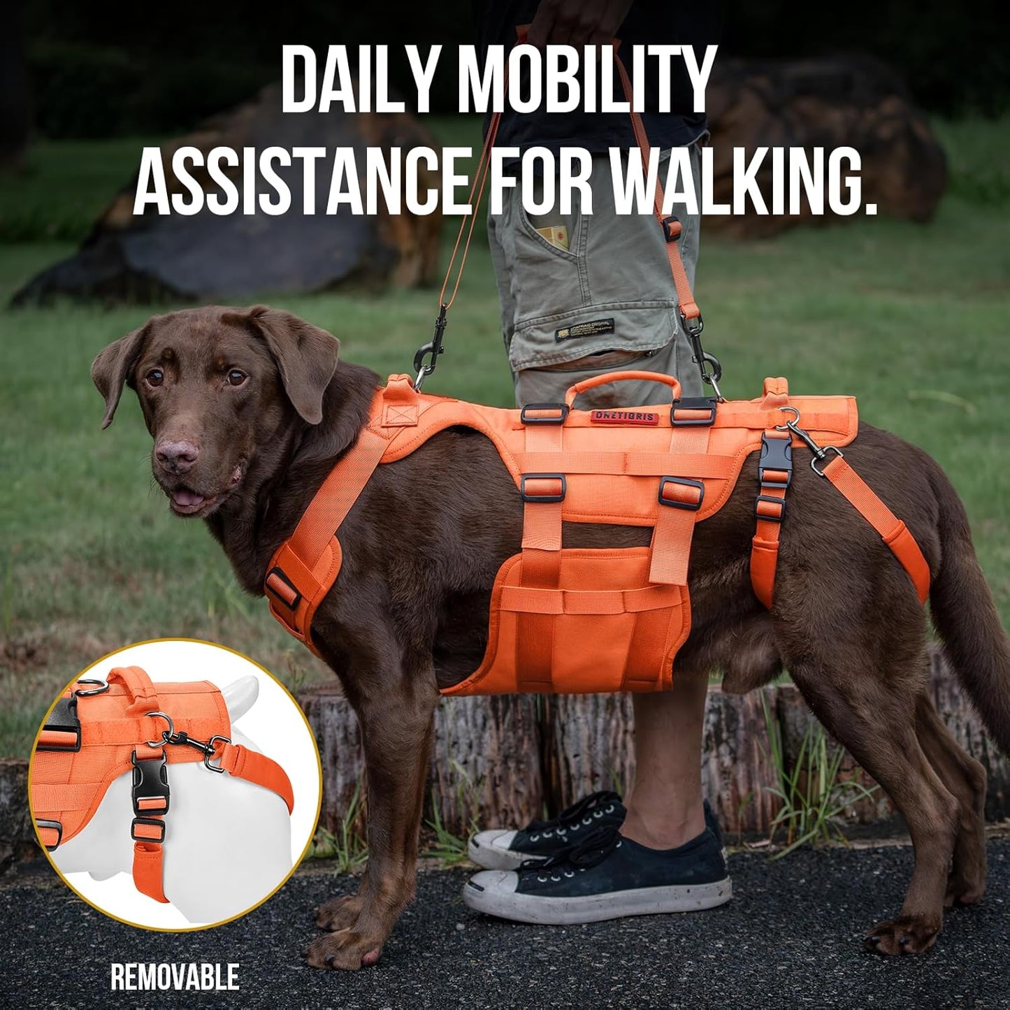 OneTigris Dog Lift Harness for Large Dogs, Dog Hip Support Brace, Full Body Dogs Lifter with Handles Invictus Multifunctional Mobility Assistance Vest for Back Legs