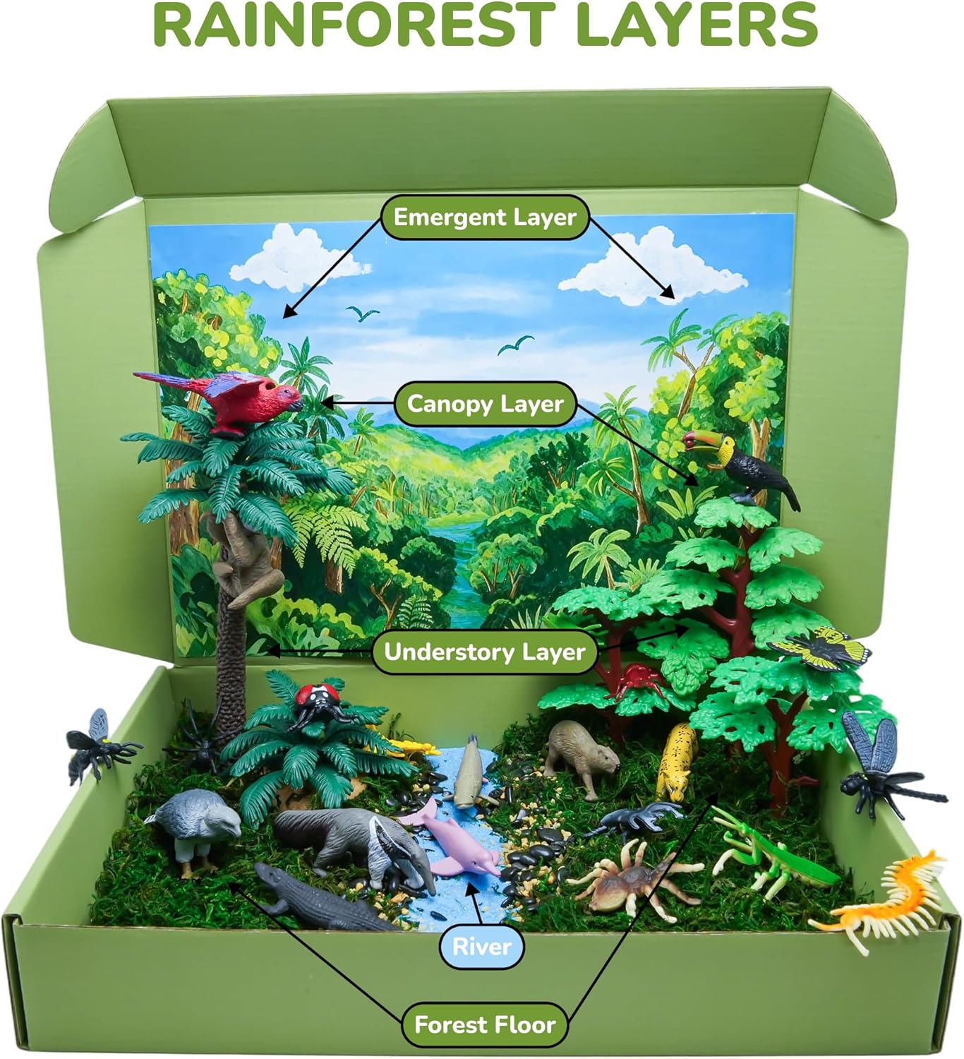 33PCS Rainforest Animals Figures Toys Set, Diorama Project Supplies Include Tropical Jungle Figurines Trees Moss Sand Stones Display Box for Kids Science School DIY