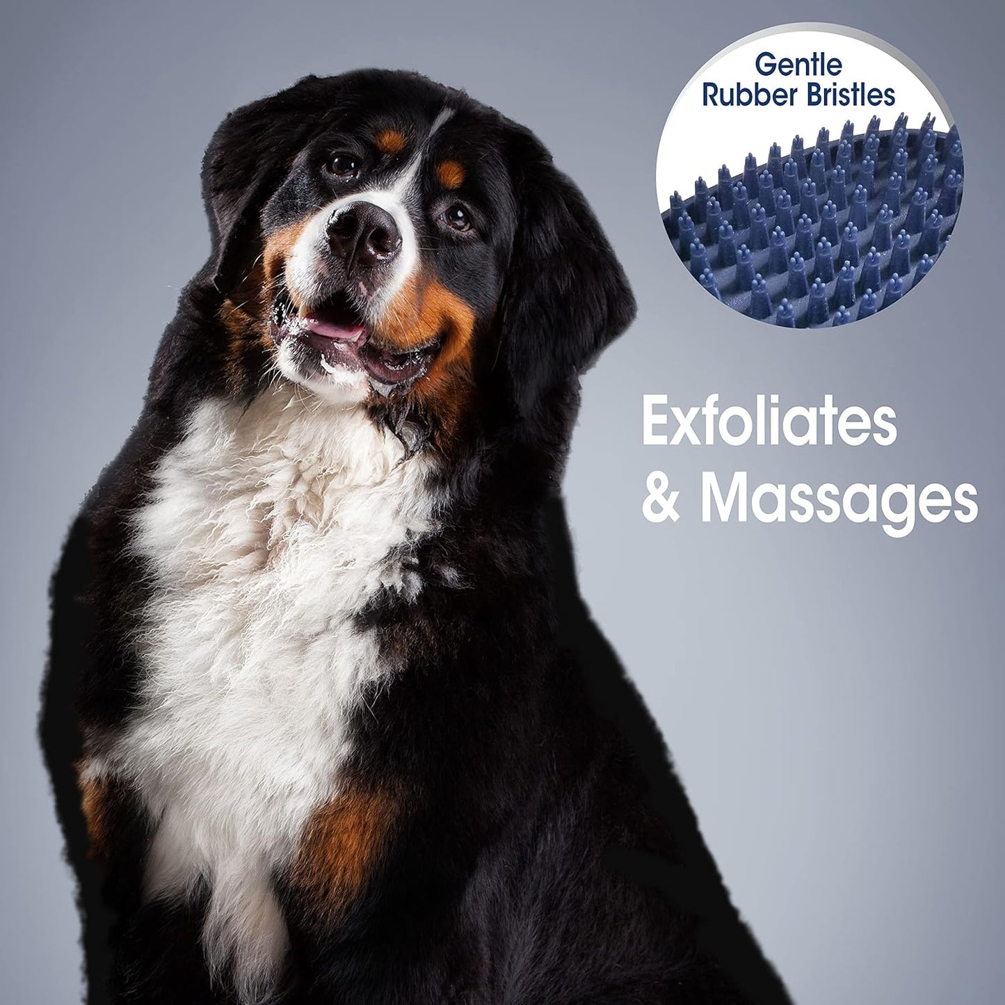 Four Paws Magic Coat Professional Series Grooming All-in-One Wet & Dry Detangling Brush for Dogs, 1 Count