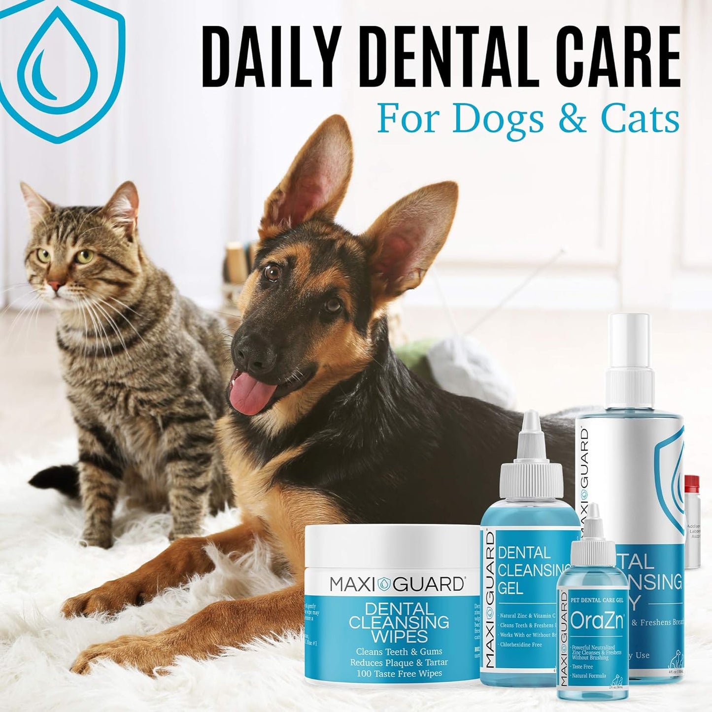 MAXI/GUARD Dental Cleansing Wipes for Dogs, Cats, Horses and Companion Animals (100 Wipes), Light Blue/White