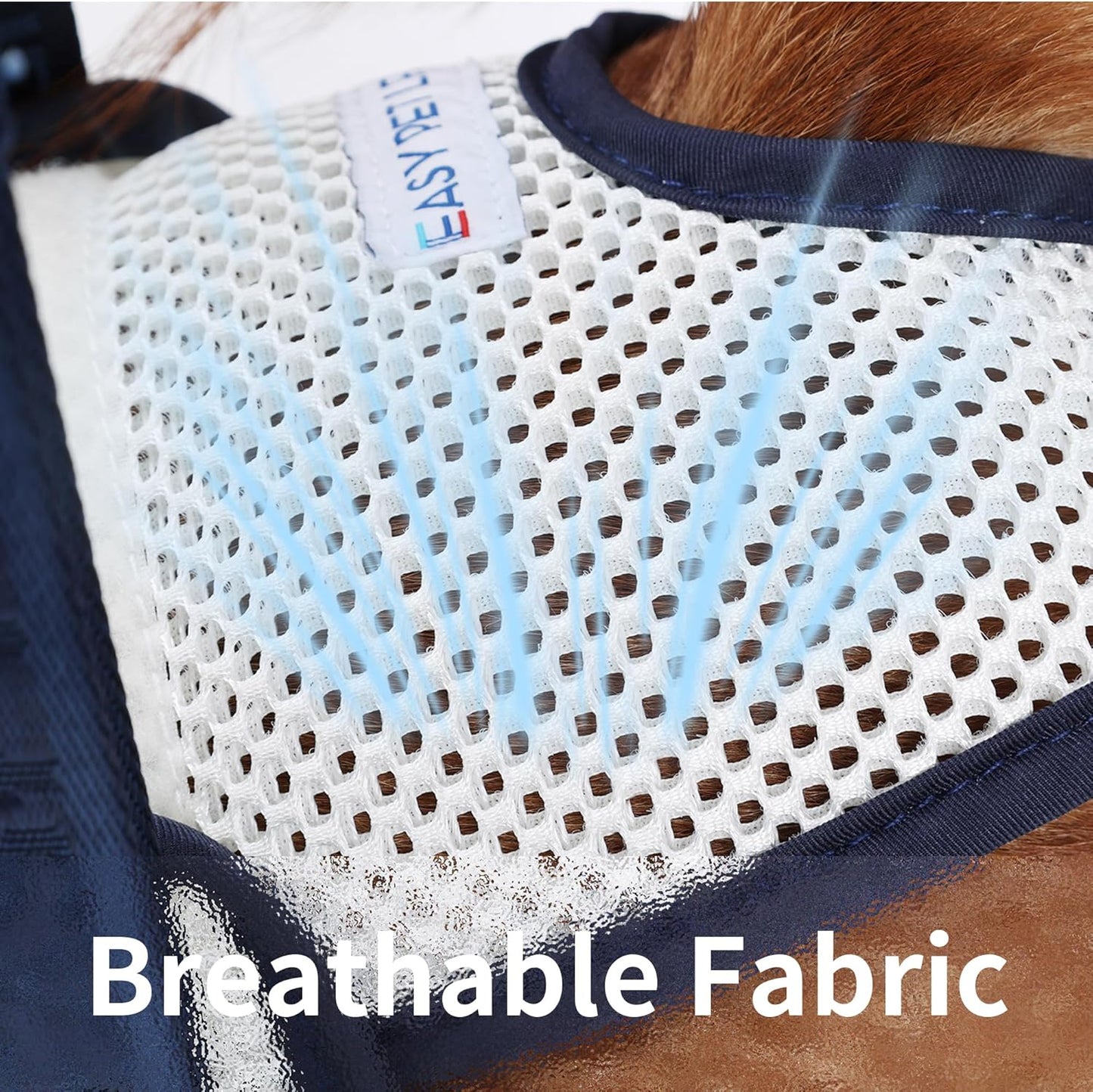 Dog Lift Harness for Back Legs - Adjustable Mobility Aid for IVDD/Paralyzed/Senior Dogs (3-in-1 Sling Design), Comfortable Leg Support, Instantly Help Your Dog Walk Again (Blue, S)