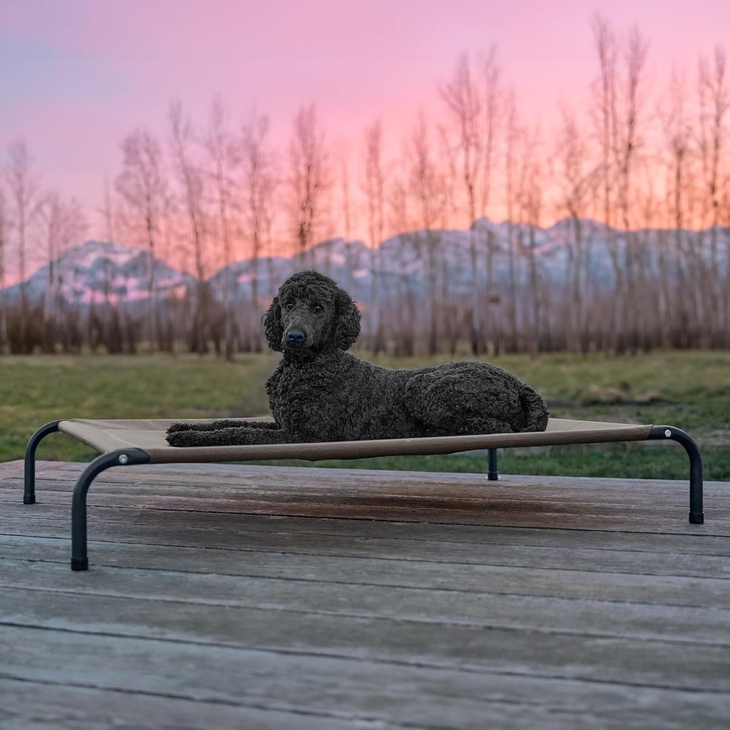 FurHaven Elevated Pet Cots - Cooling & Breathable Nylon Mesh Hammock for Large Dogs/Easy-to-Assemble / / Durable and Reinforced/Perfect for Rest & Relaxation Outdoors - Graphite Gray, Large
