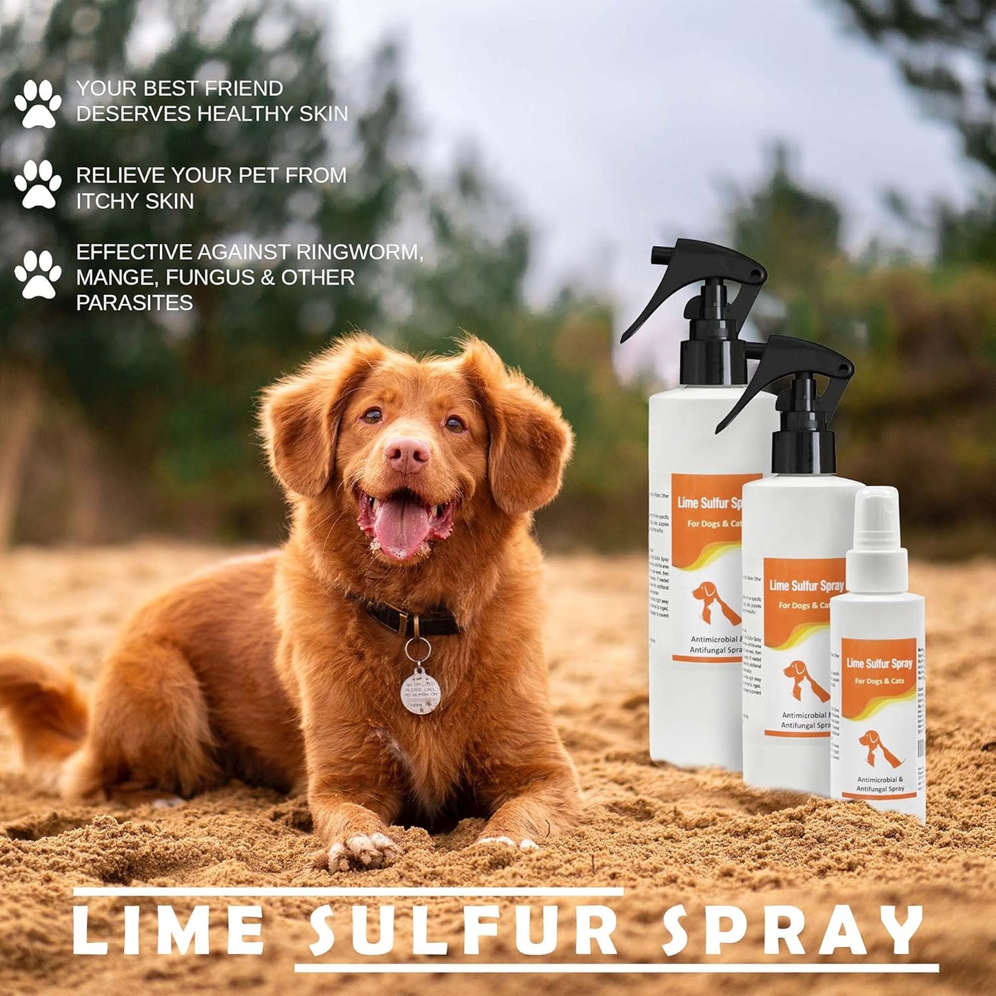 Bundle - 2 Items: Classic's Lime Sulfur Shampoo (8 oz) and Classic's Lime Sulfur Spray (8 oz)