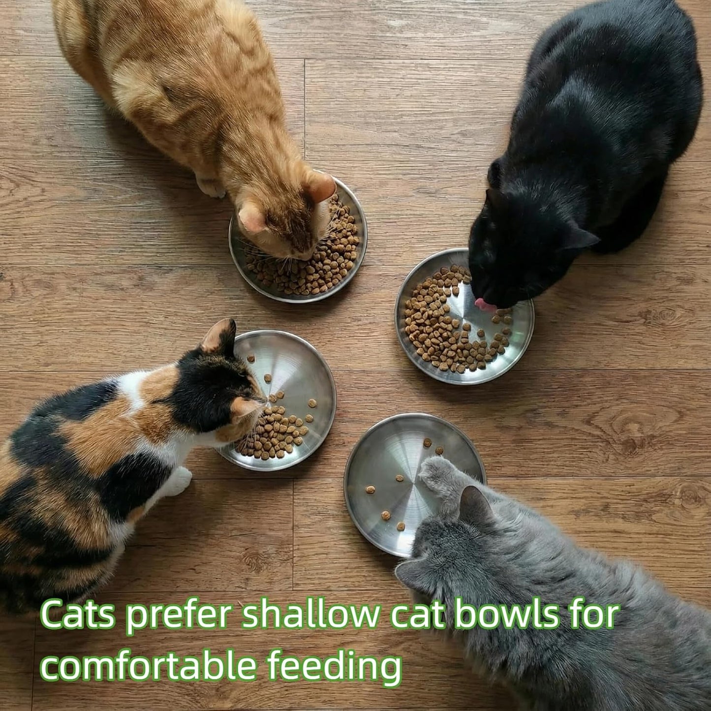 4-Pack Stainless Steel Cat Dish,Shallow cat Bowl,Cat Bowls Whisker Friendly,Grade 304 18/8, Dishwasher Safe,Easy to Clean