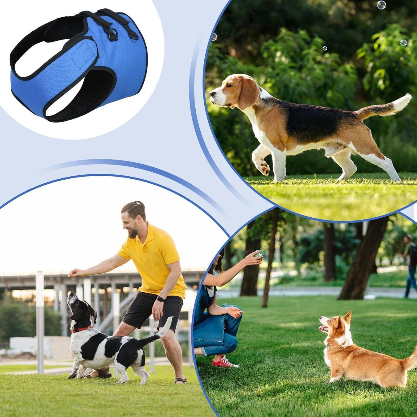 Dog Lift Harness, Puppy Mobility Support, Dog Walking Harness, Stair Assistance Dog Lift Support, Pet Front Leg Lift, Adjustable Dog Lift for Helping Your Puppy Walk Stand, Go up and Down Stairs