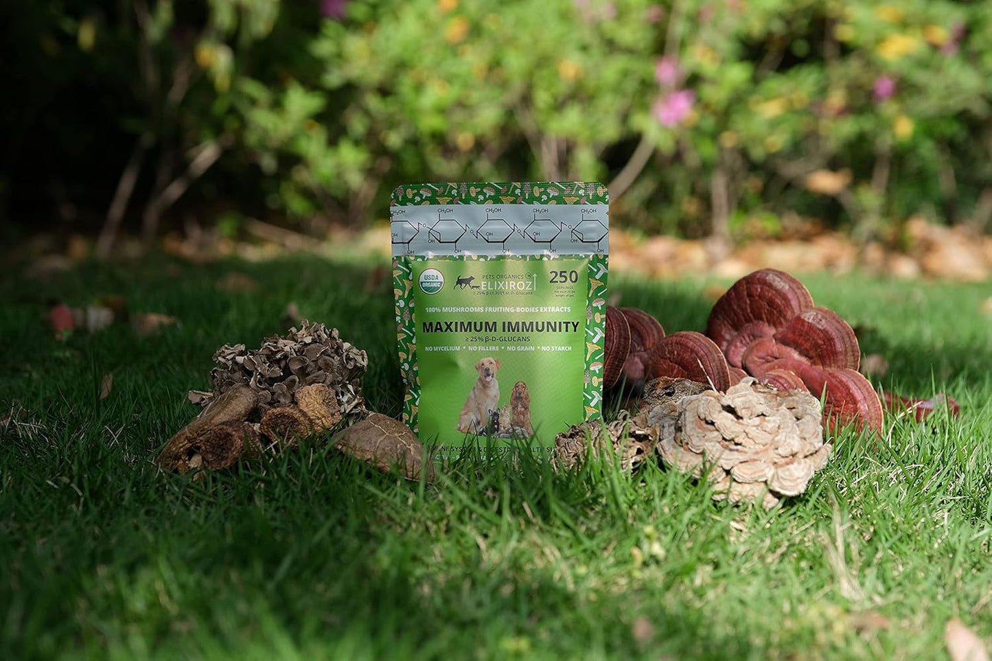 Maximum Immunity >25% β-glucan 100% Mushrooms Fruiting Body Extracts, Veterinarian Recipe for Dogs & Cats Immune, Digestive, Vitamins, Probiotics, with Turkey Tail, Reishi extracts.250 Servings
