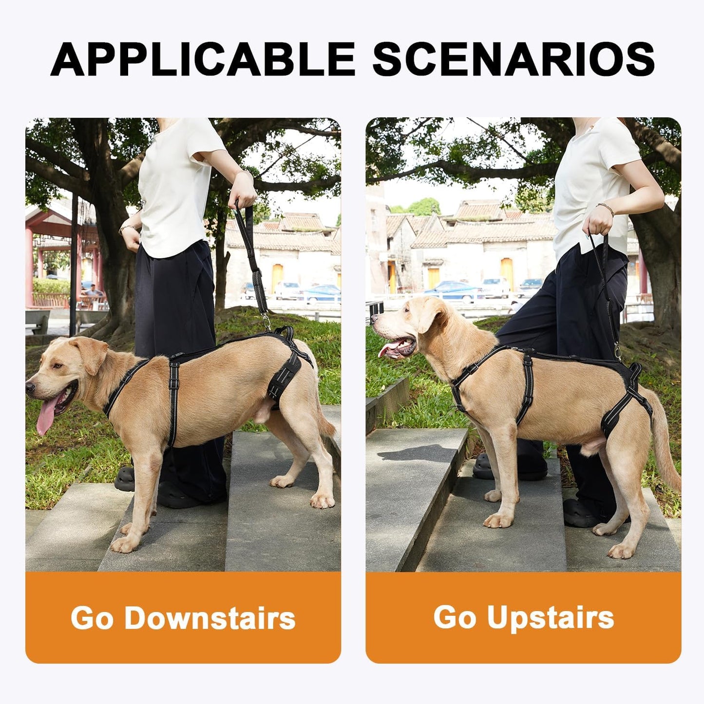 COODEO Professional Dog Sling for Hind Leg Support - Aid for Post-ACL/TPLO Surgery & Senior Dogs, Secure,Breathable & Machine-Washable with Reflective Edging for Safe Walks (Black, L)