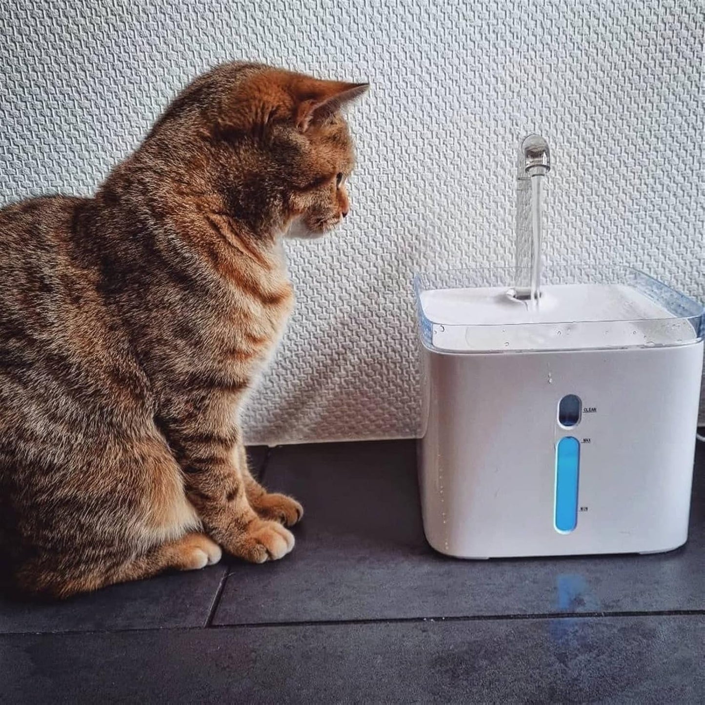 Fountain Cat Dog Water Fountain, 2.5L Pet Drinking Fountain for Cats Dogs, Automatic Fountain Dispenser Pet Water Dispenser (Color : 2.5L Fountain)