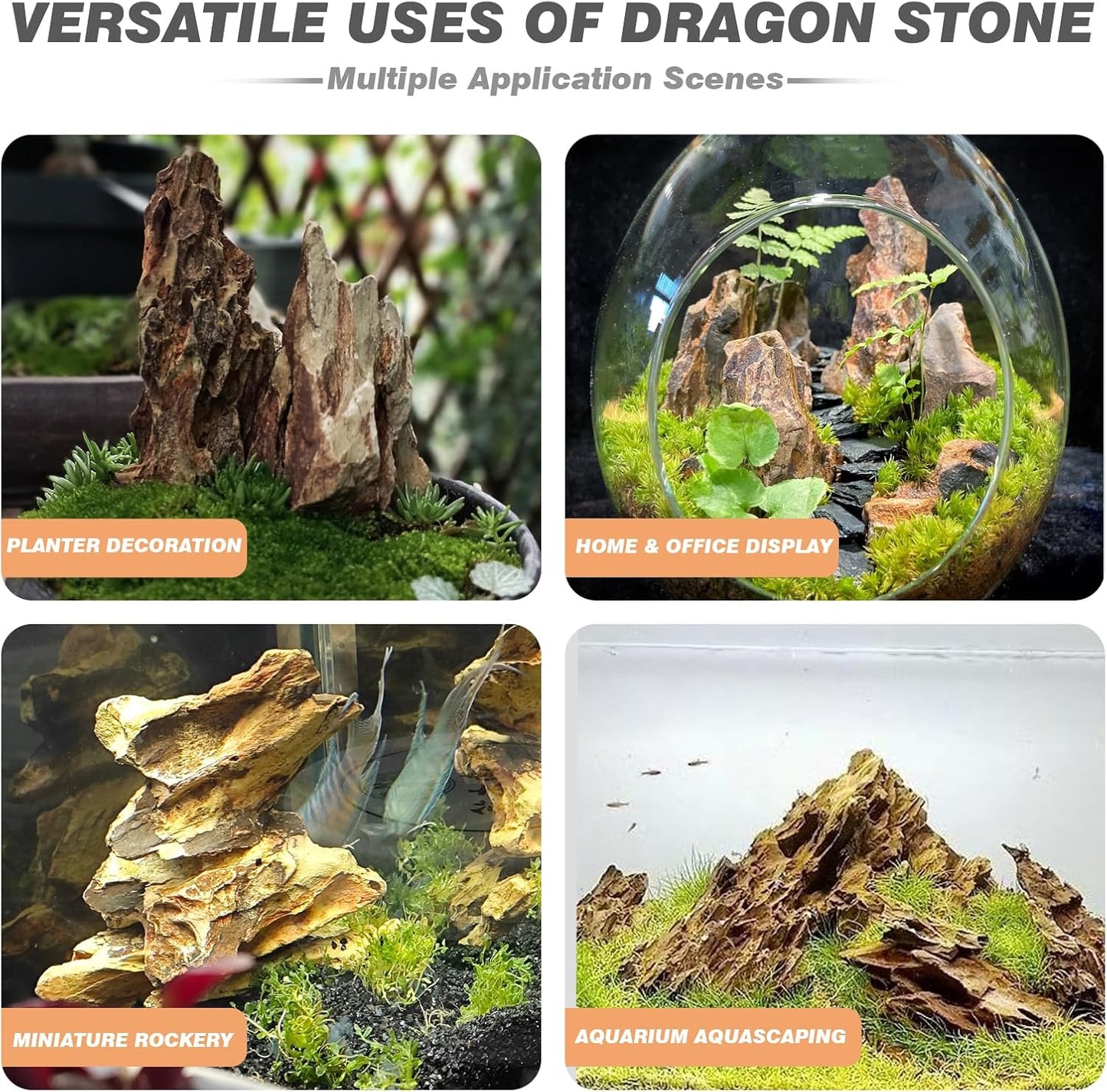 Unocho Dragon Stone Aquarium Rocks 5lb Seiryu Stone for Fish Aquariums Landscaping Model Fish Tanks Terrariums Vivariums Paludarium Amphibian Enclosures(2-4 inches)